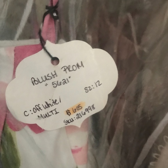 Blush prom dress - Picture 3 of 3